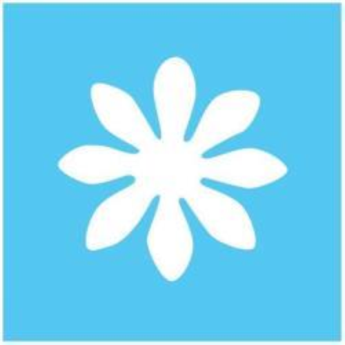 CWR FUSTELLA 16 mm MARGHERITA